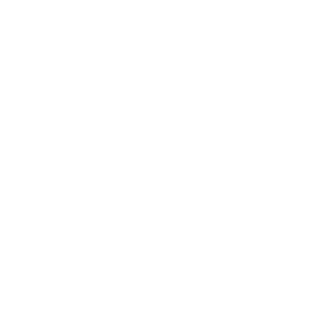 Winston-Salem Ambassadors